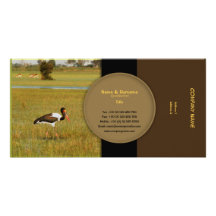 Stylish wild birds profile cards customisable photo cards