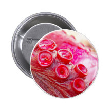 Suckers Pin
