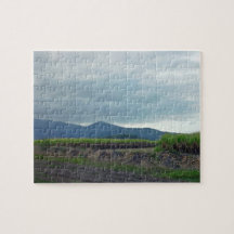 Sugar cane fields puzzles