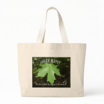 SUGAR MAPLE TREE LEAF bags