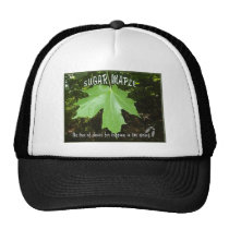 SUGAR MAPLE TREE LEAF hats