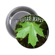 SUGAR MAPLE TREE LEAF buttons