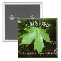 SUGAR MAPLE TREE LEAF buttons
