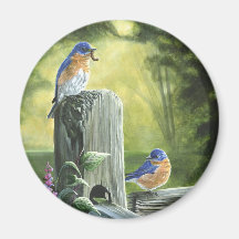 "Summer Blues" Refrigerator Magnets