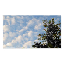 Summer Clouds business cards