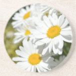 Summer Daisies Coaster