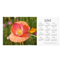 Summer flowers 2012 Calendar Photo Card