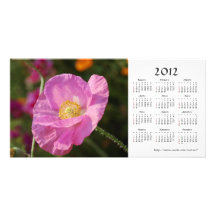 Summer flowers 2012 Calendar Photo Card