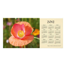 Summer flowers 2012 Calendar Photo Card