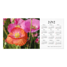 Summer flowers 2012 Calendar Photo Card