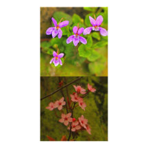 Summer Flowers Photocard Customized Photo Card