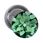 Summer Foliage Button