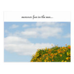 Summer Fun in the Sun! postcards Poppies Blue Sky