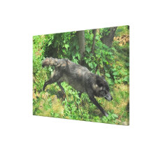 Summer Grey Wolf Wildlife Art Canvas Canvas Print