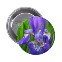 Summer In Maine Pins