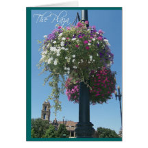 Summer on the plaza greeting cards