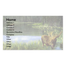 Summer reflections, Moose Business Card Templates