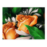 Summer Roses Post Cards