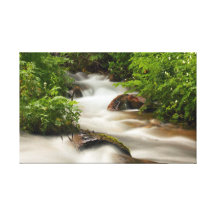 Summer stream gallery wrapped canvas