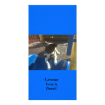Summer Time Is Great! Picture Card