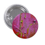 "Summer Wind" Pins