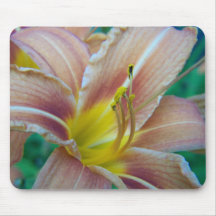 SummerFlowers009 Mousepads