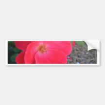 "Summer's Red Rose"  CricketDiane Designer Stuff Bumper Sticker