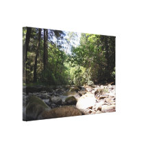 Sun and Shadow in a Creek Bed Gallery Wrapped Canvas