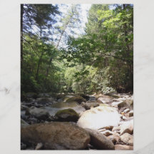 Sun and Shadow in a Creek Bed Flyer