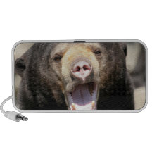 Sun Bear Speakers