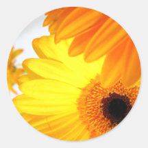 Sun Flower Round Stickers