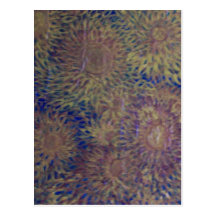 Sun Flowers Postcard