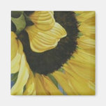 Sun Glow Sunflower Refrigerator Magnets