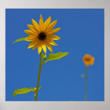 Sun Lover Posters