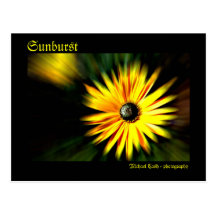 Sunburst Post Cards