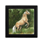 Sundance Memorial Trinket Boxes