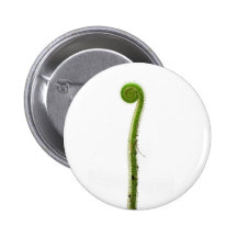 Sundew Frond Pinback Button