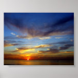Sunet, from Zebulun beach in Herzliya, Israel Poster