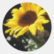 Sunflower 7 stickers