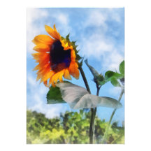 Sunflower Against the Sky Invitation