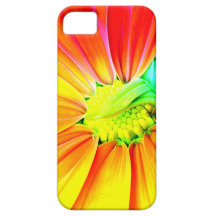 Sunflower Bloom iPhone 5 Cover