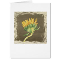 Sunflower Card