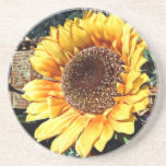 Sunflower Coaster