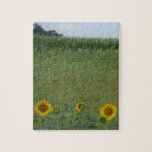 Sunflower Field Puzzle