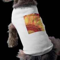 Sunflower Floral Painting - Multi pet clothing