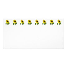 Sunflower Gazing Down Photo Card Template