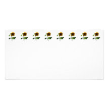 Sunflower Looking Down Personalized Photo Card