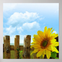 Sunflower Nature Beauty Posters
