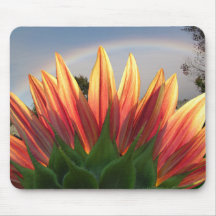 Sunflower Rainbow ~ mousepad