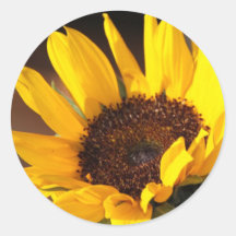 Sunflower Stickers